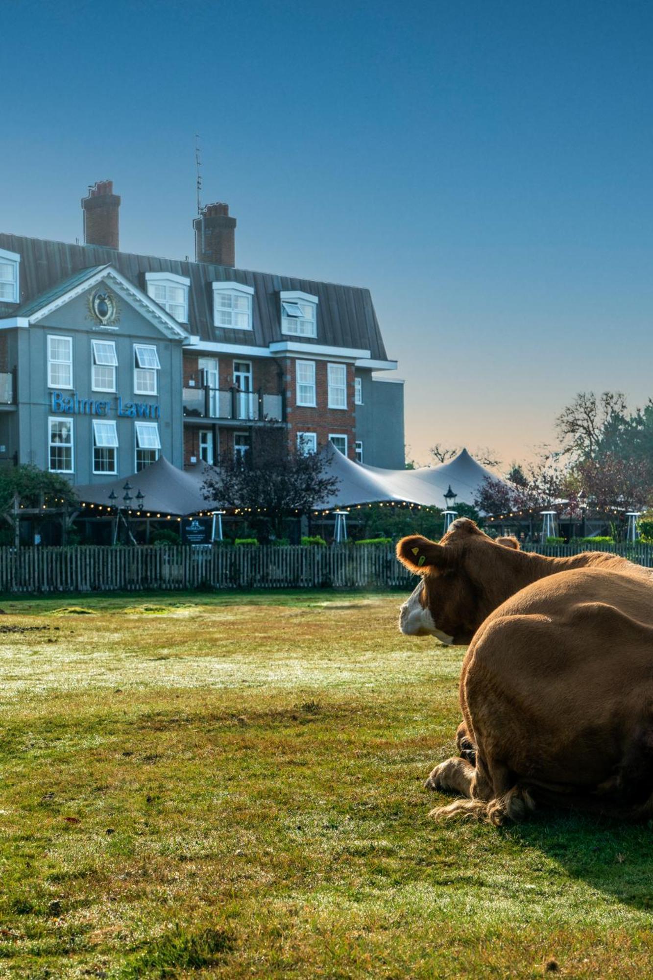 4 Family Hotels Near Orchid Fine Arts That Deliver on Space and Activities