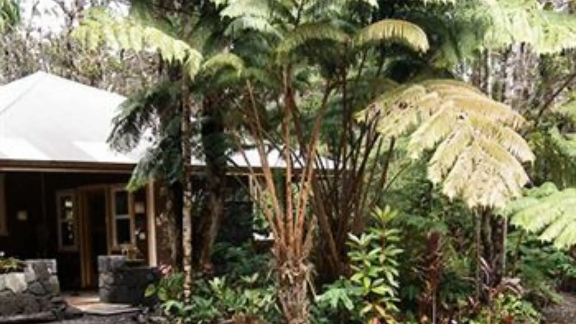 Staying in Hawaii: 7 Family-Friendly Hotels Compared